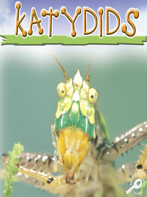 Title details for Katydids by Jason Cooper - Available